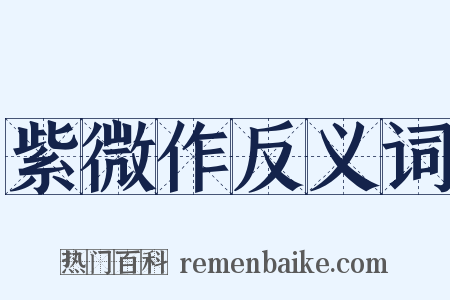紫微作反义词是什么意思的图片